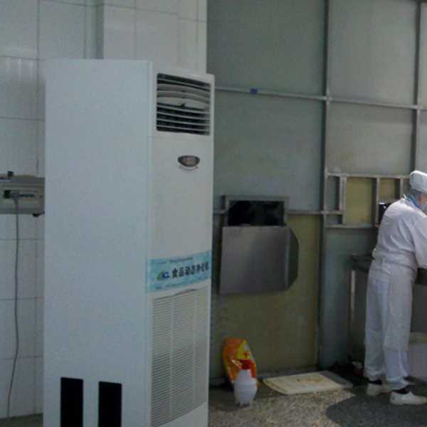 湖南食品正负离子空气杀菌器